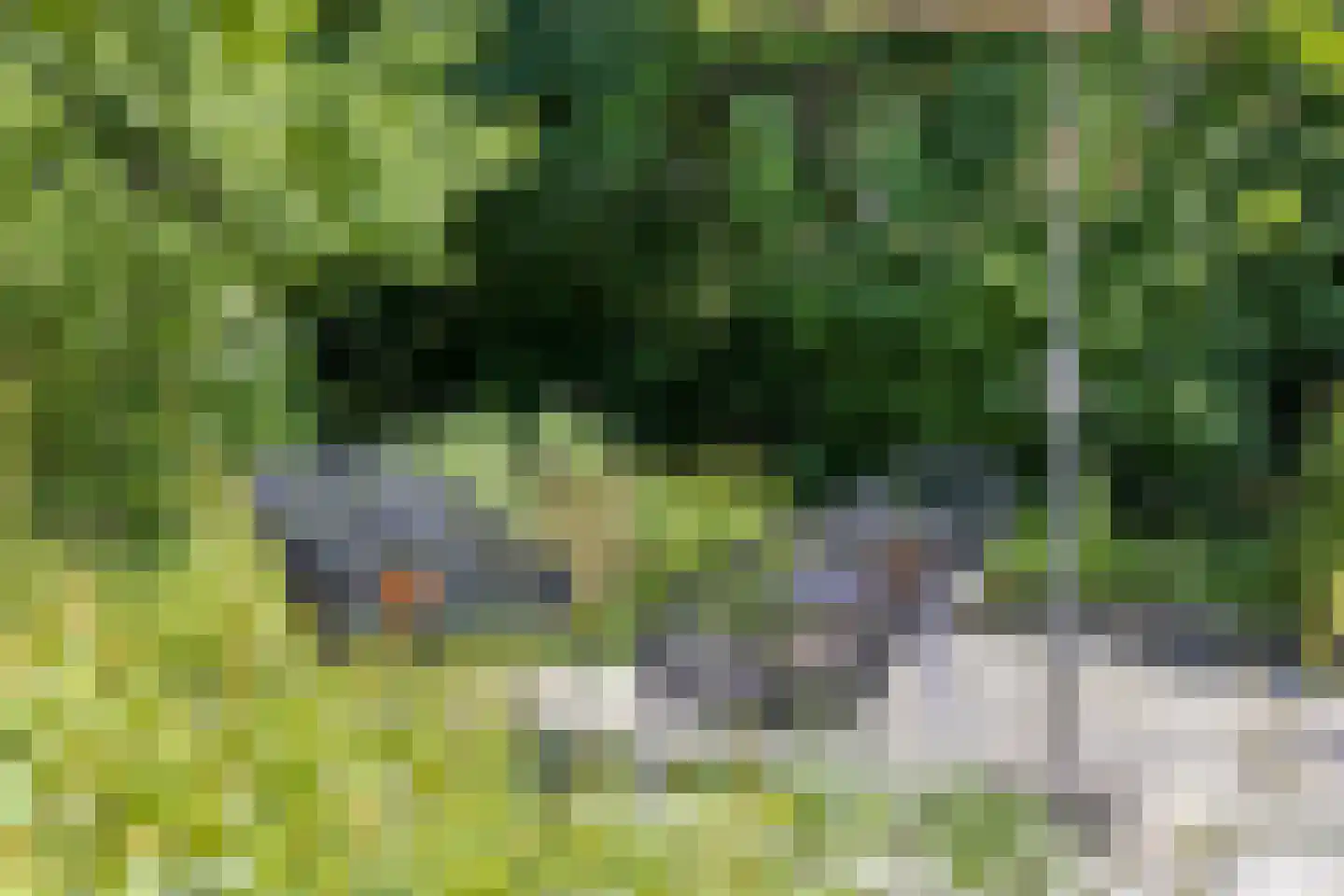 Europasingel 2 Vroomshoop thumbnail 68