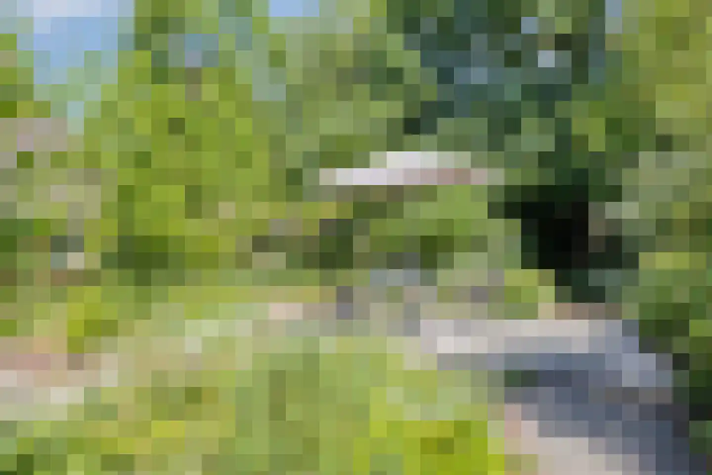 Europasingel 2 Vroomshoop thumbnail 69