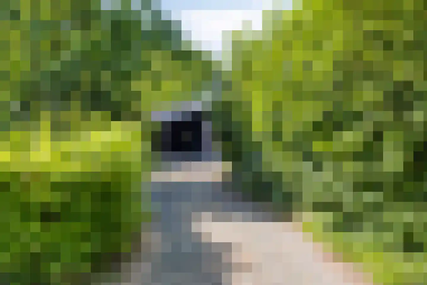 Europasingel 2 Vroomshoop thumbnail 70