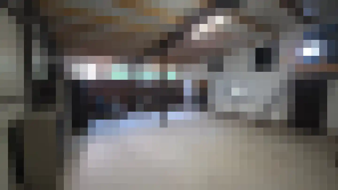 Europasingel 2 Vroomshoop thumbnail 72