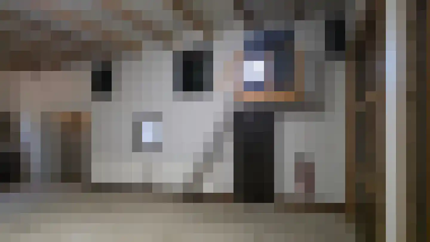 Europasingel 2 Vroomshoop thumbnail 73