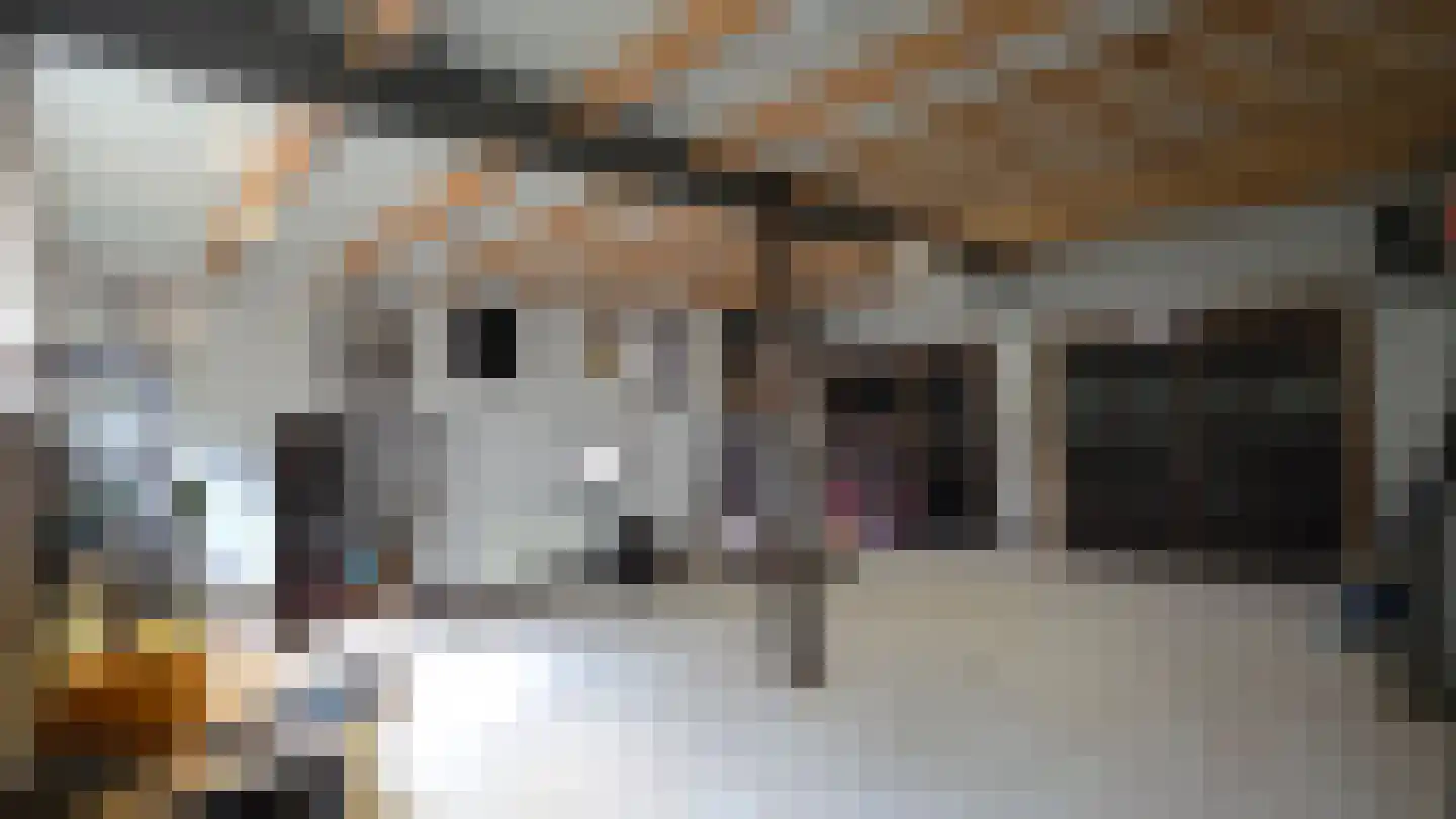 Europasingel 2 Vroomshoop thumbnail 74