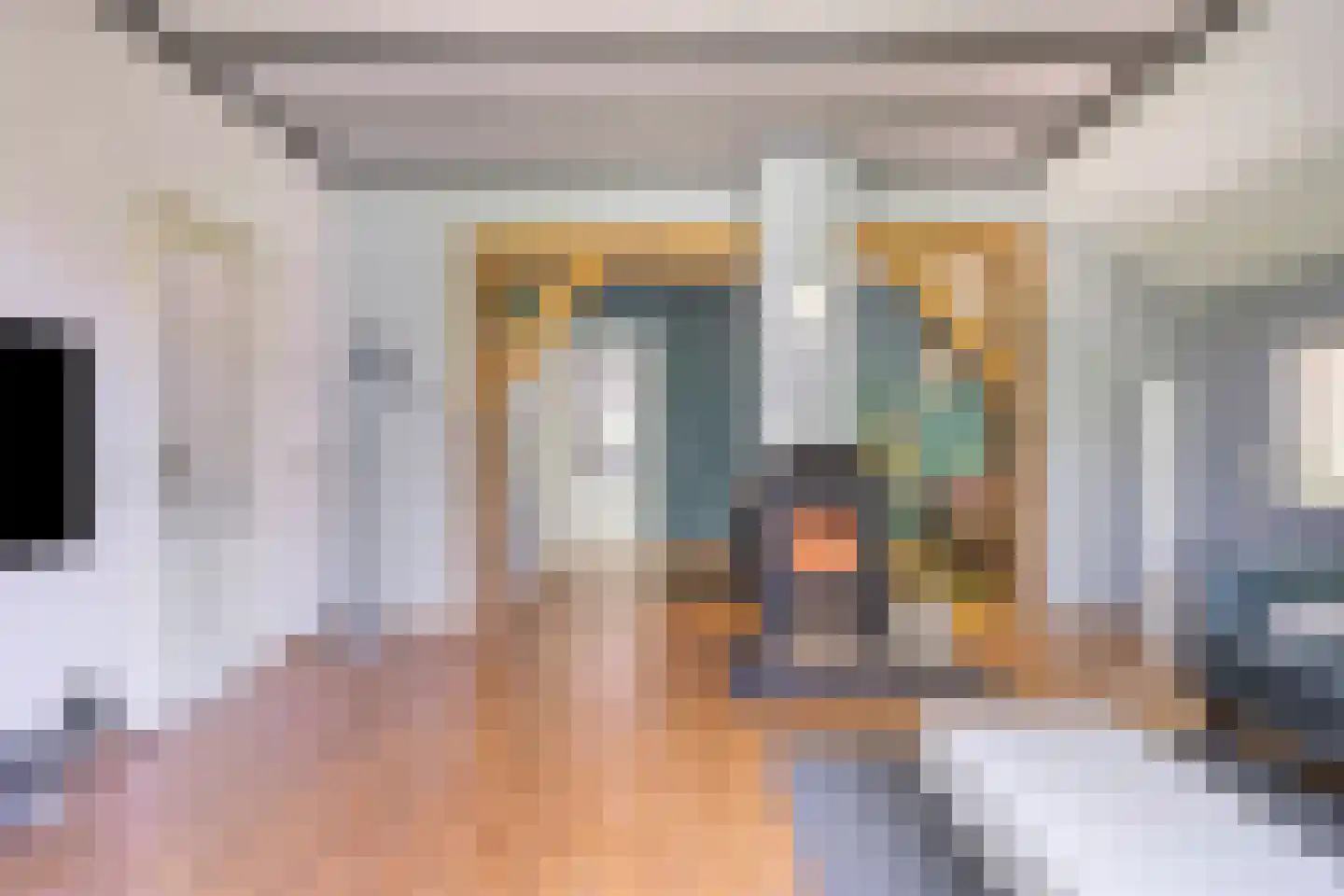 Europasingel 2 Vroomshoop thumbnail 8