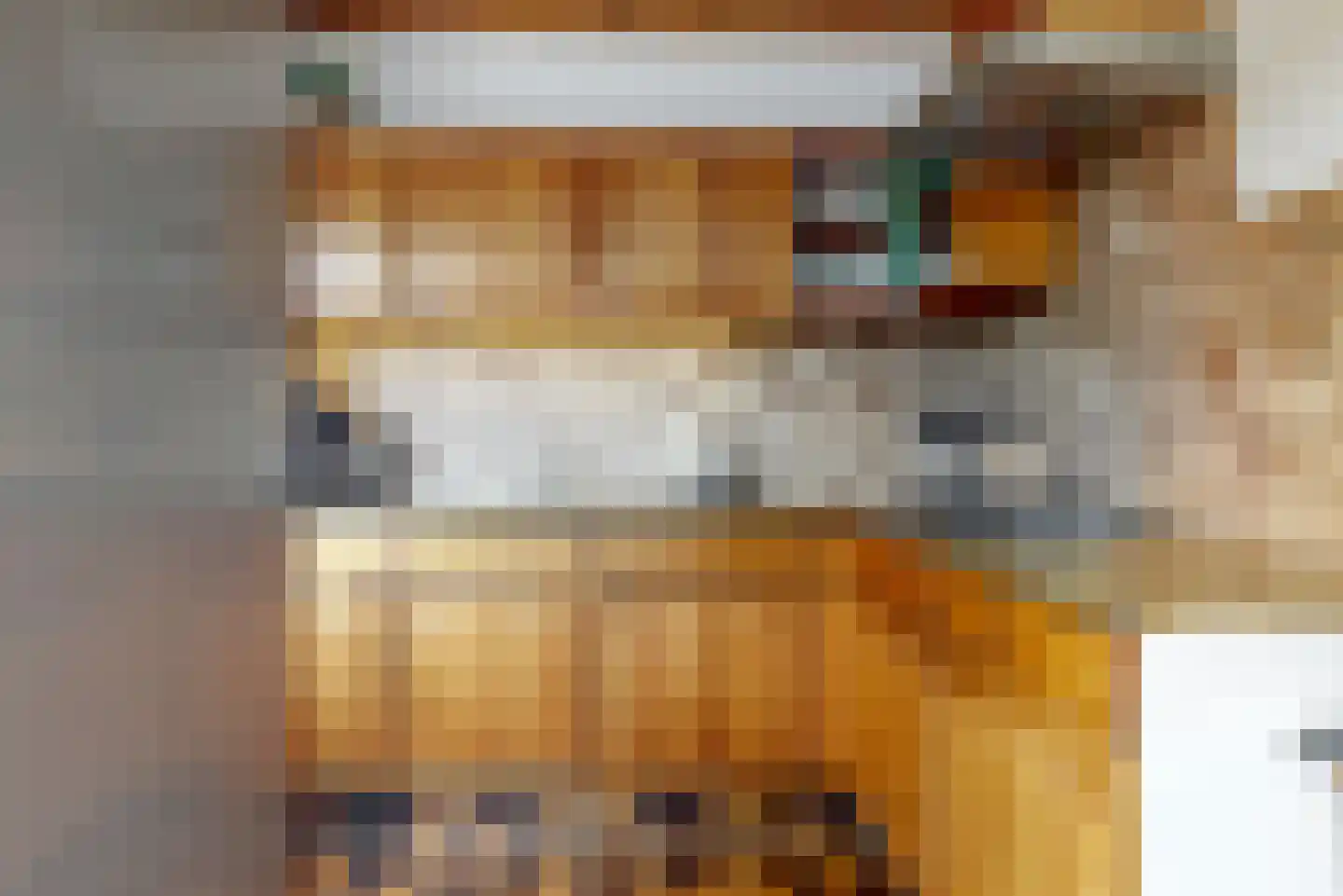 Europasingel 22 Wervershoof thumbnail 11