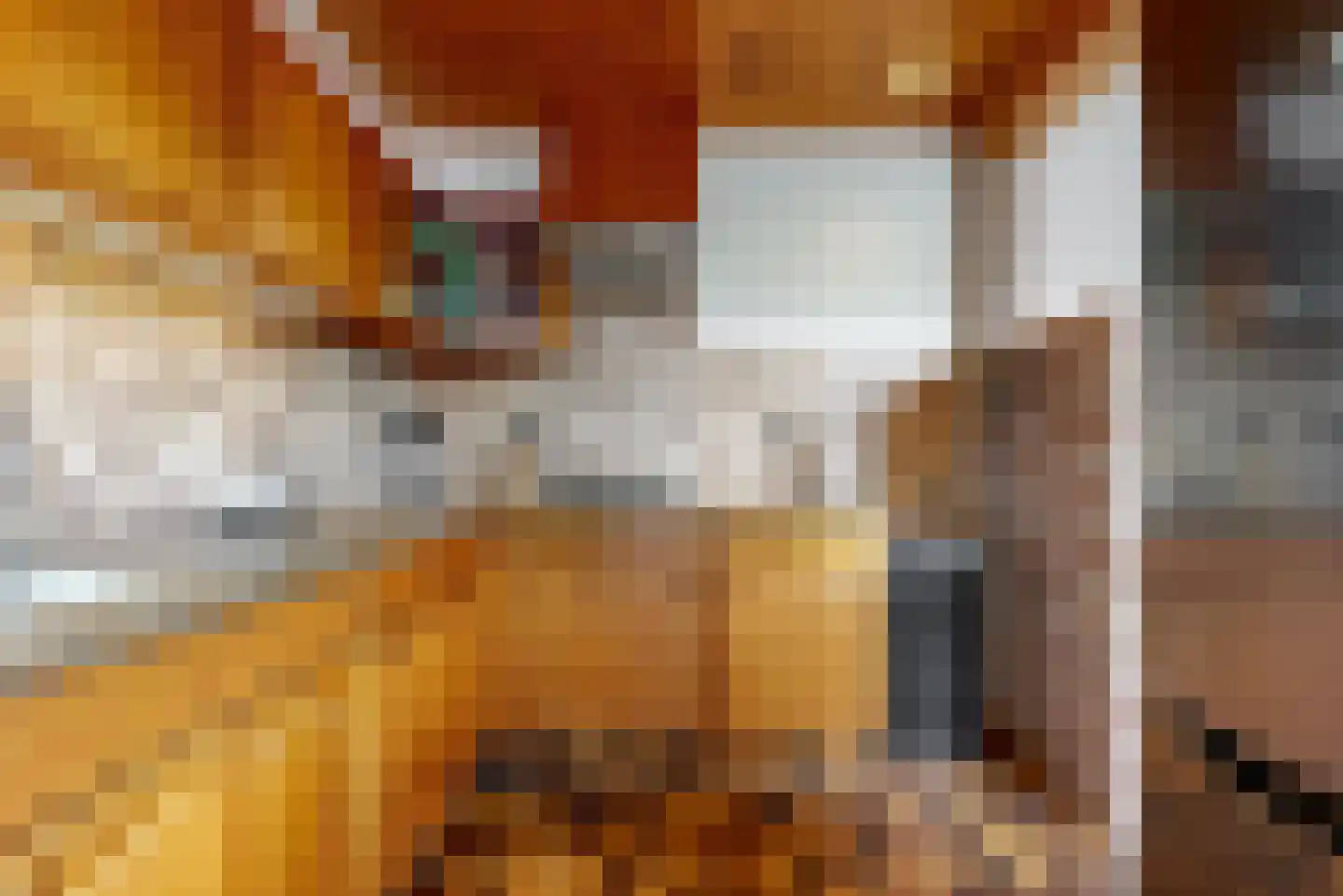 Europasingel 22 Wervershoof thumbnail 12