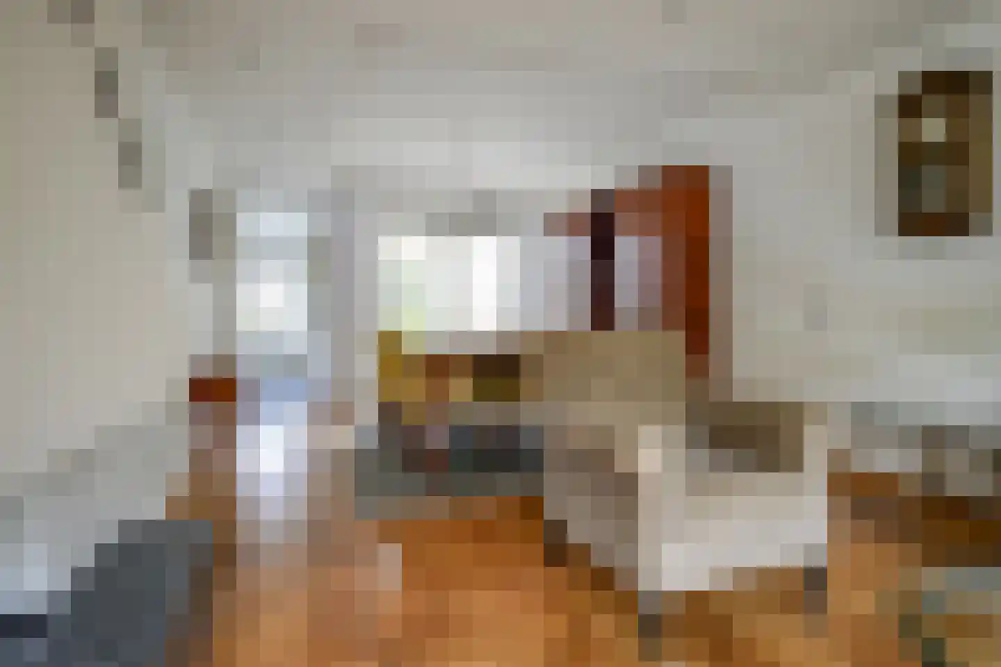 Europasingel 32 Bergschenhoek thumbnail 12