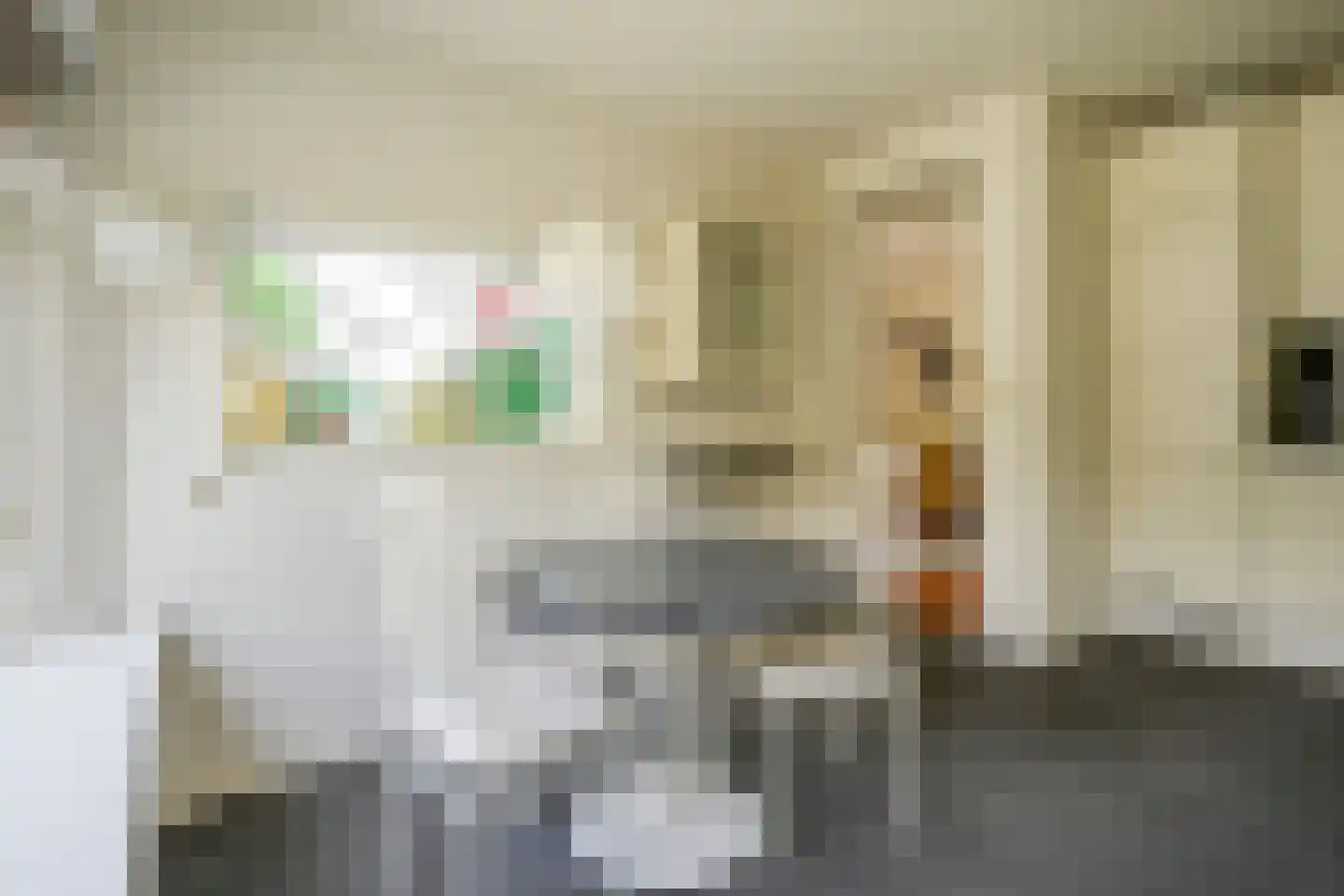 Europasingel 32 Bergschenhoek thumbnail 17