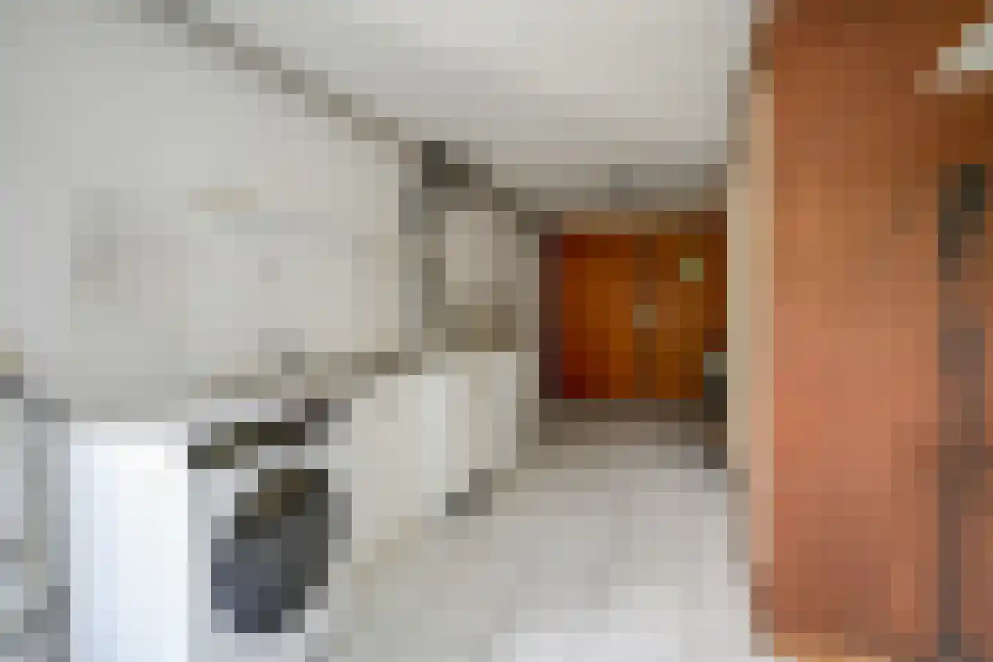 Europasingel 32 Bergschenhoek thumbnail 19