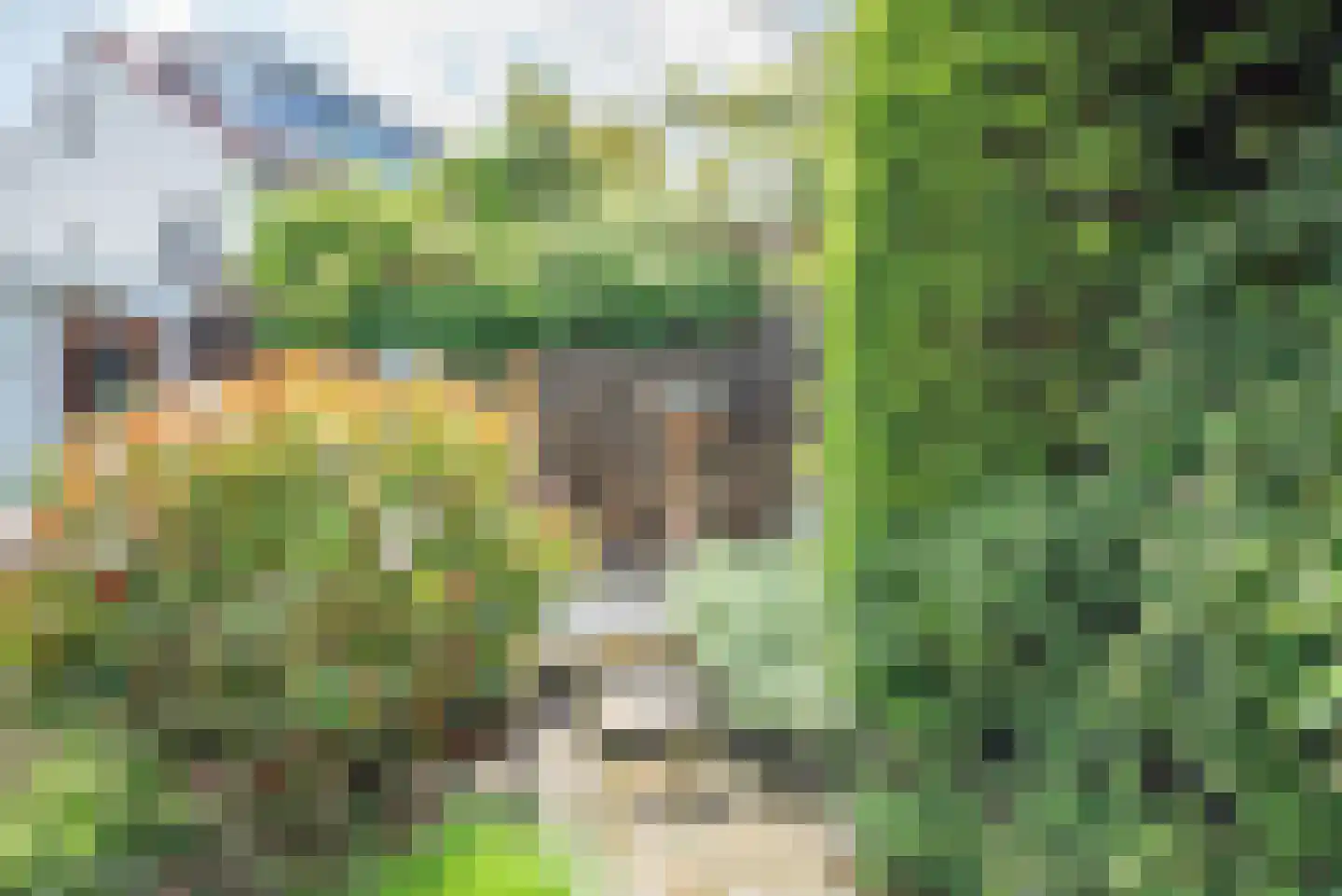 Europasingel 32 Bergschenhoek thumbnail 43