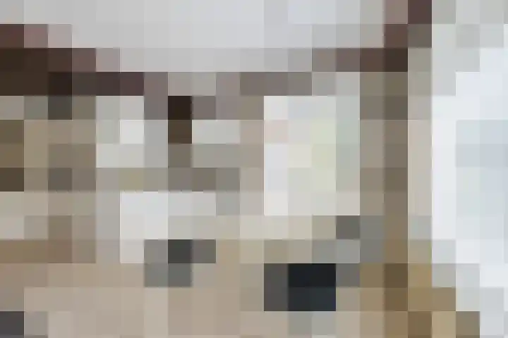 Europasingel 34 Bergschenhoek thumbnail 11