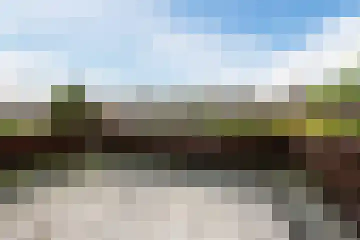 Europasingel 34 Bergschenhoek thumbnail 29