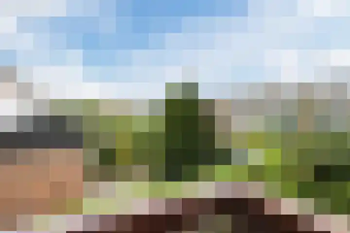 Europasingel 34 Bergschenhoek thumbnail 31