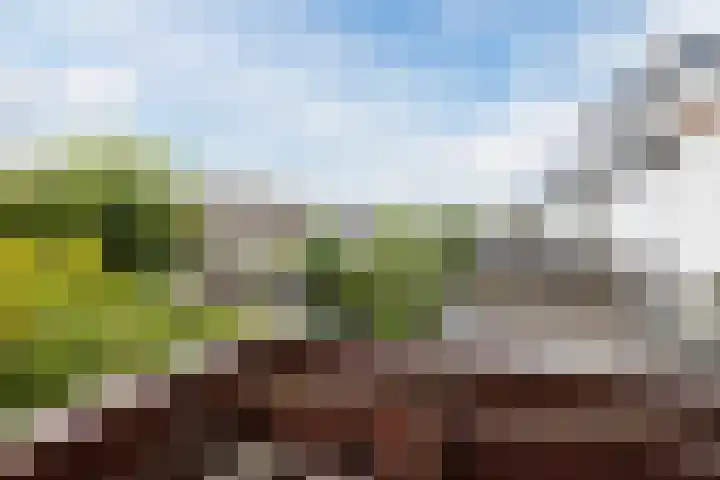 Europasingel 34 Bergschenhoek thumbnail 32
