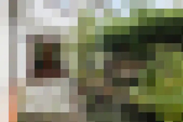 Europasingel 34 Bergschenhoek thumbnail 33