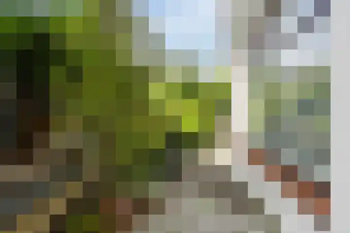 Europasingel 34 Bergschenhoek thumbnail 34