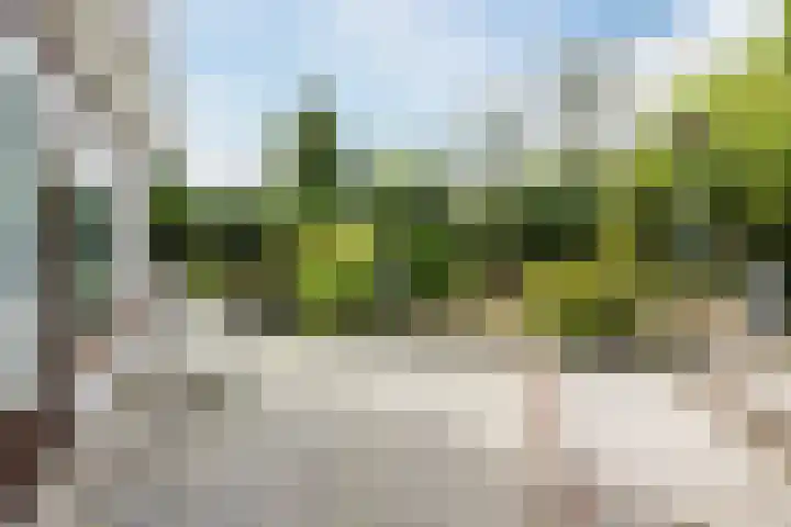 Europasingel 34 Bergschenhoek thumbnail 35