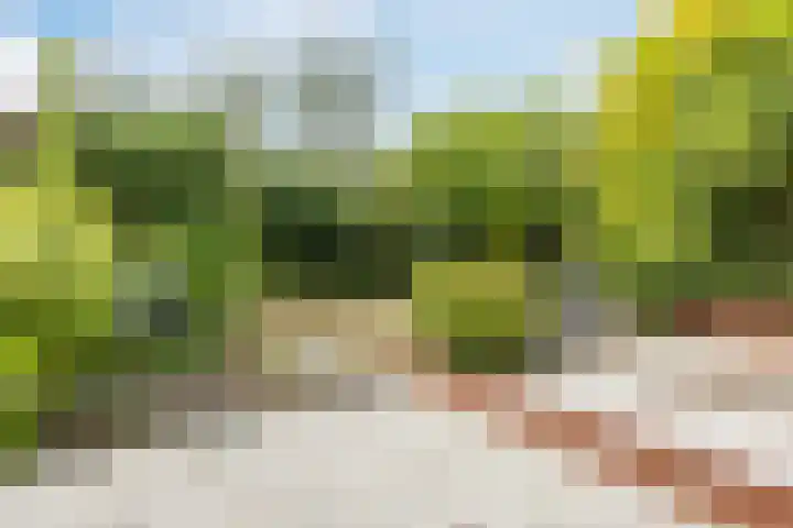 Europasingel 34 Bergschenhoek thumbnail 36
