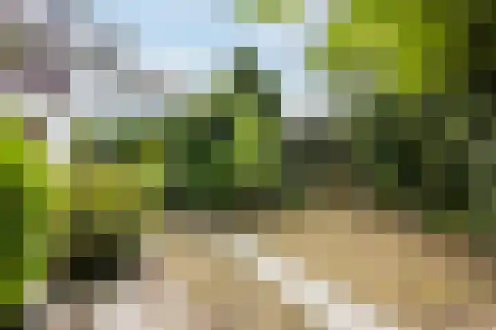 Europasingel 34 Bergschenhoek thumbnail 38