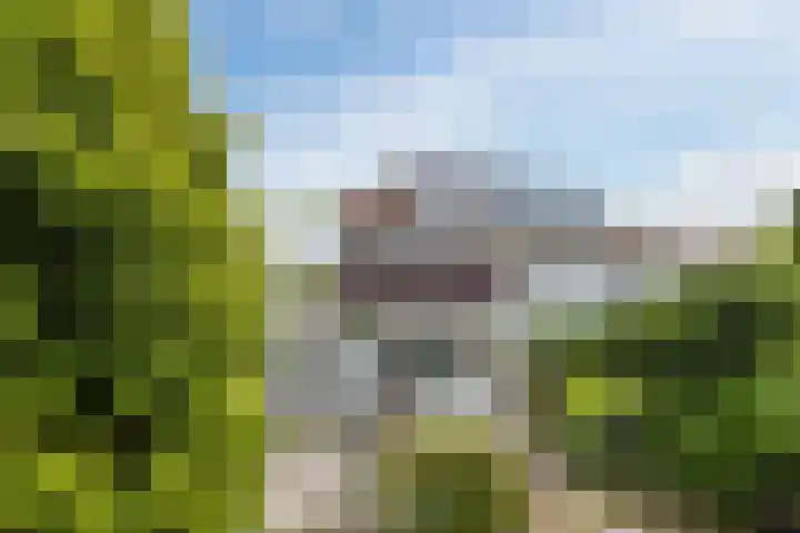 Europasingel 34 Bergschenhoek thumbnail 40