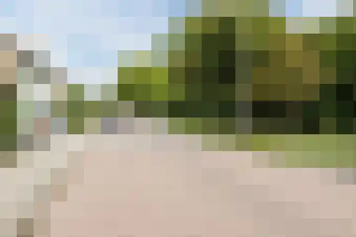 Europasingel 34 Bergschenhoek thumbnail 43