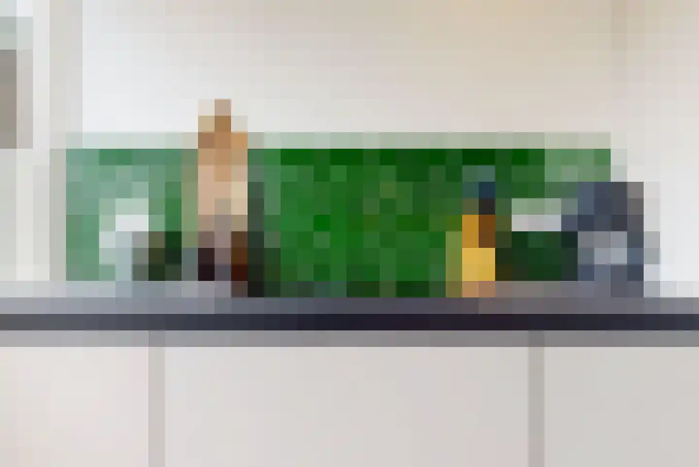 Europasingel 5 Lopik thumbnail 11