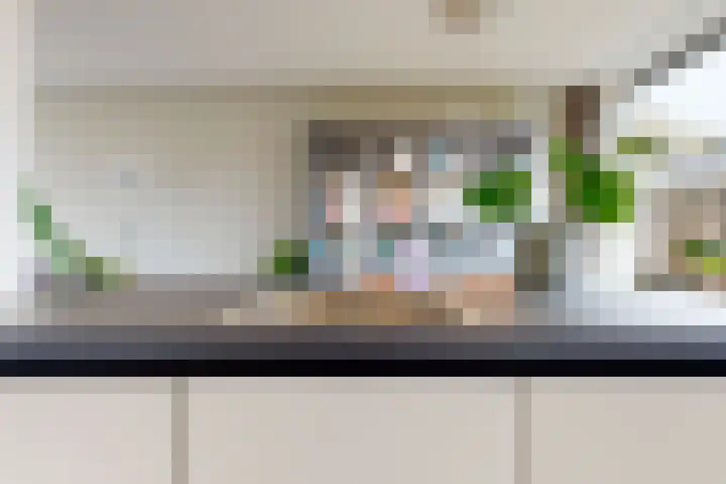 Europasingel 5 Lopik thumbnail 12