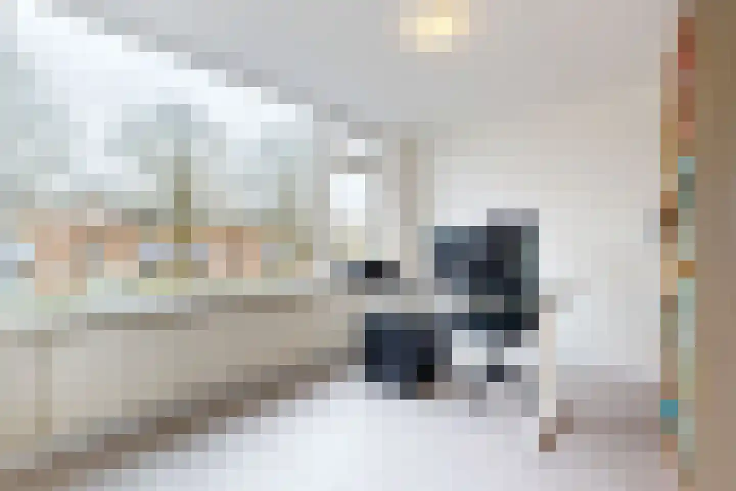Europasingel 5 Lopik thumbnail 19