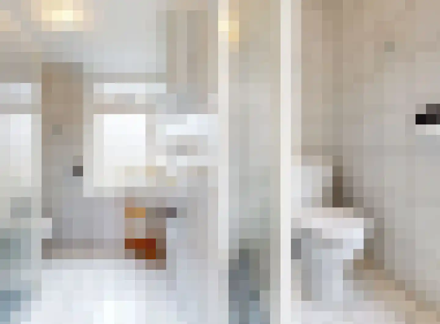Europasingel 5 Lopik thumbnail 21