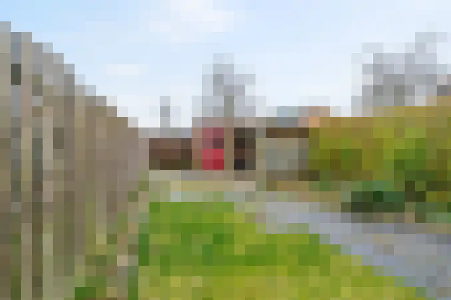Europasingel 5 Lopik thumbnail 26
