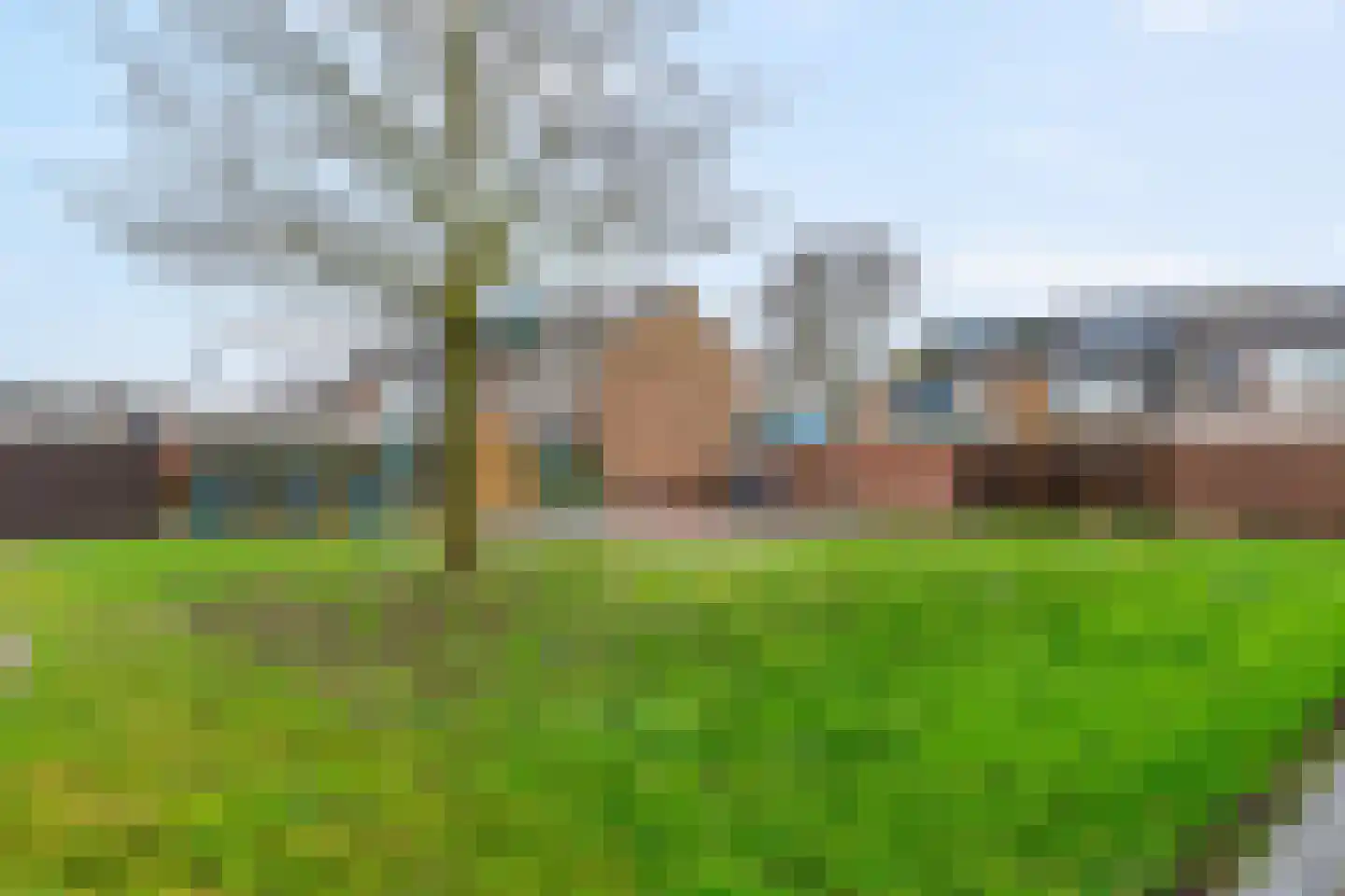 Europasingel 5 Lopik thumbnail 28