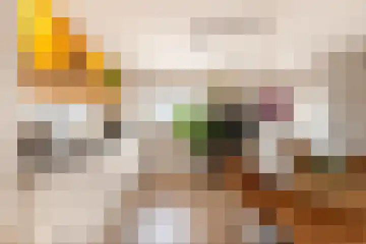 Europasingel 61 Wervershoof thumbnail 11