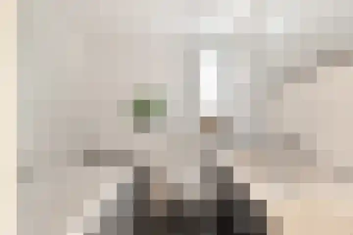 Europasingel 61 Wervershoof thumbnail 25