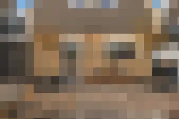 Europasingel 61 Wervershoof thumbnail 32