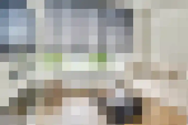Europasingel 7 Lopik thumbnail 10