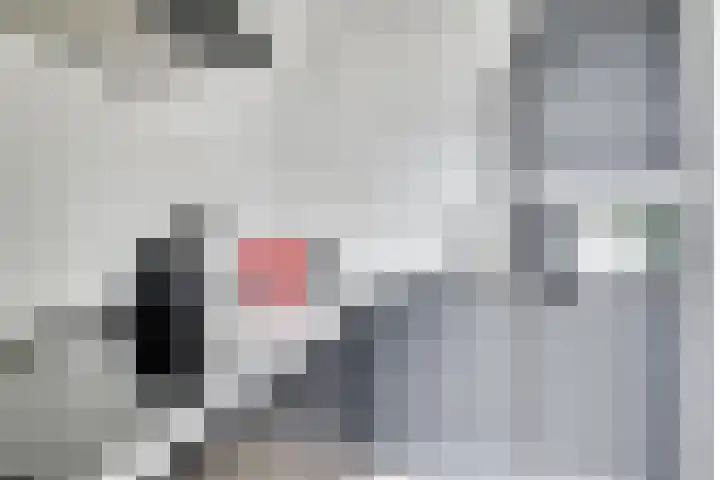 Europasingel 7 Lopik thumbnail 18