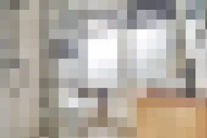 Europasingel 7 Lopik thumbnail 21