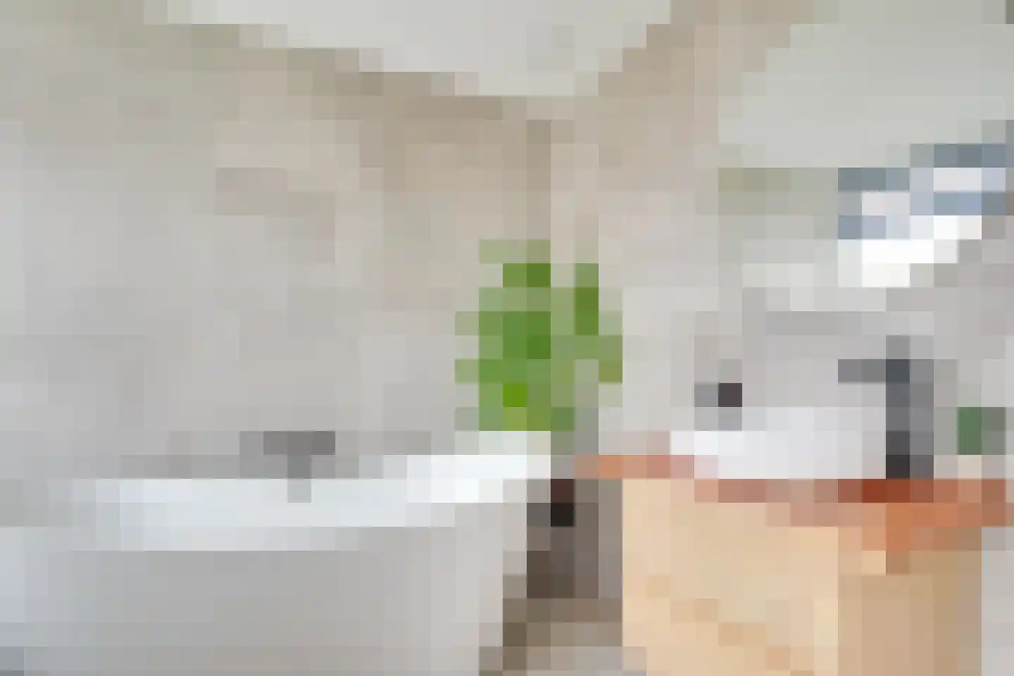 Europasingel 7 Lopik thumbnail 26