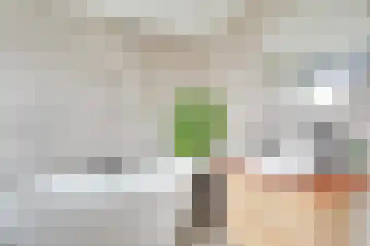Europasingel 7 Lopik thumbnail 26