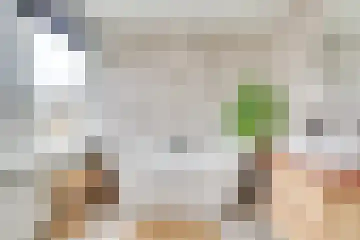 Europasingel 7 Lopik thumbnail 27