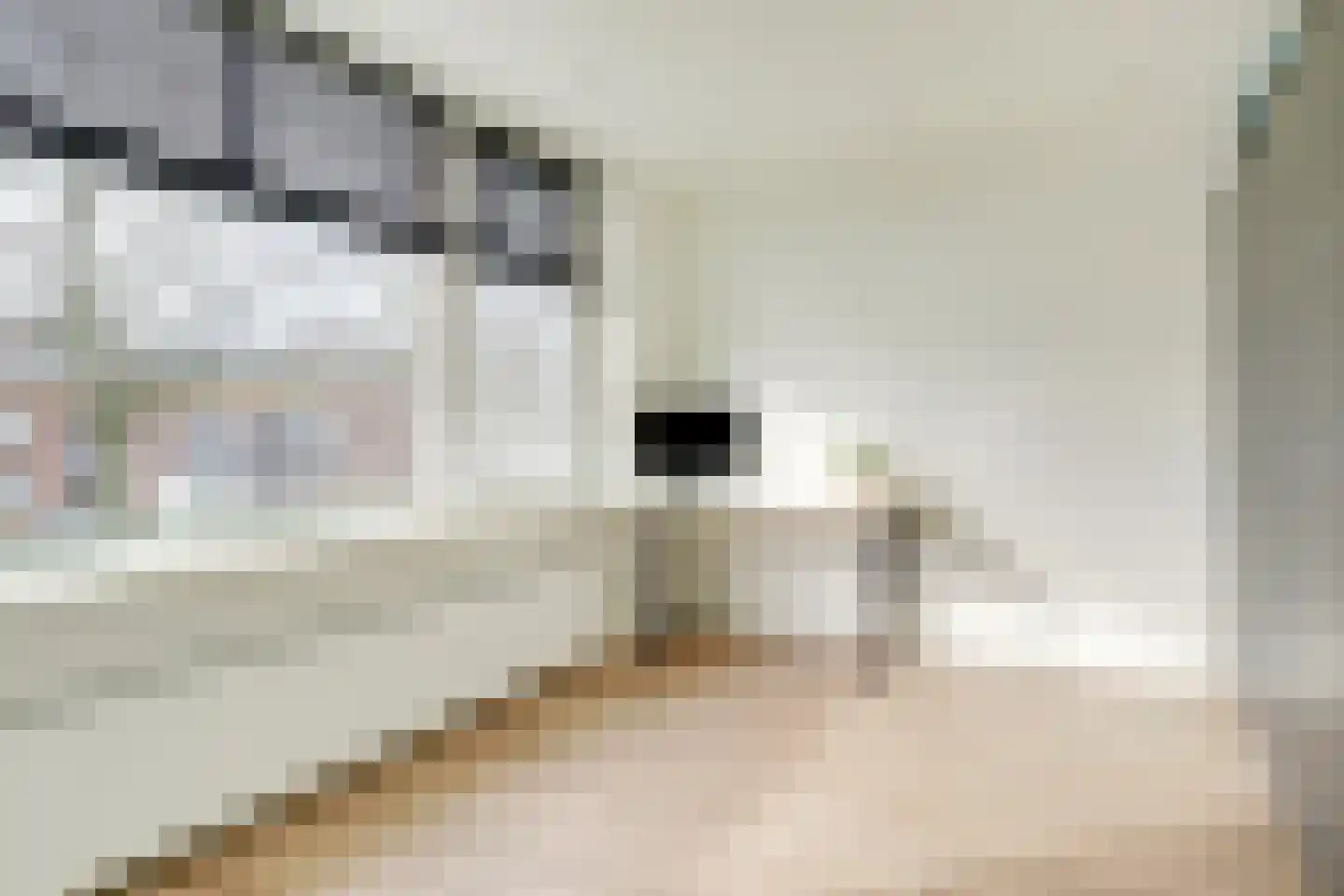 Europasingel 7 Lopik thumbnail 28