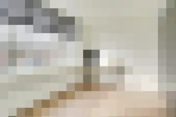 Europasingel 7 Lopik thumbnail 28