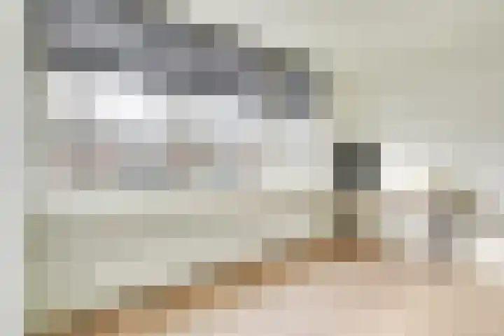 Europasingel 7 Lopik thumbnail 29