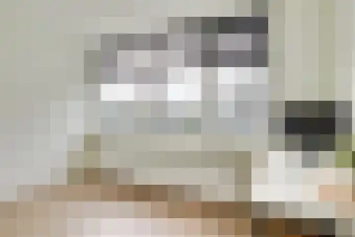 Europasingel 7 Lopik thumbnail 30