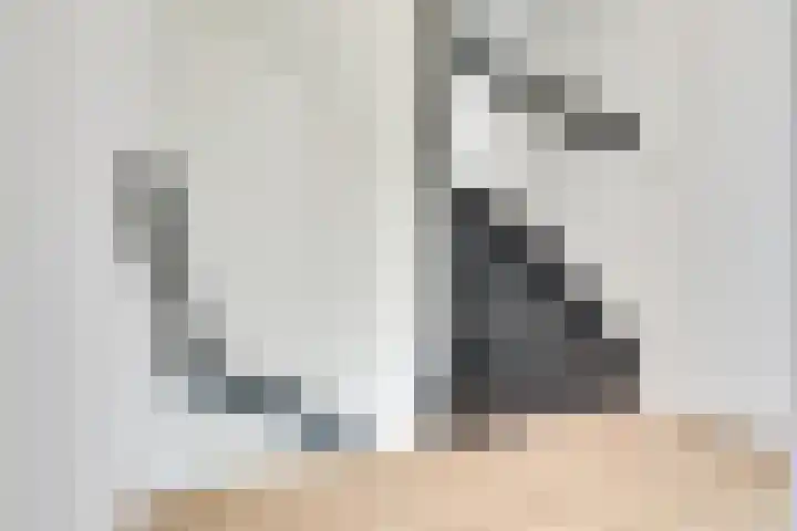 Europasingel 7 Lopik thumbnail 31