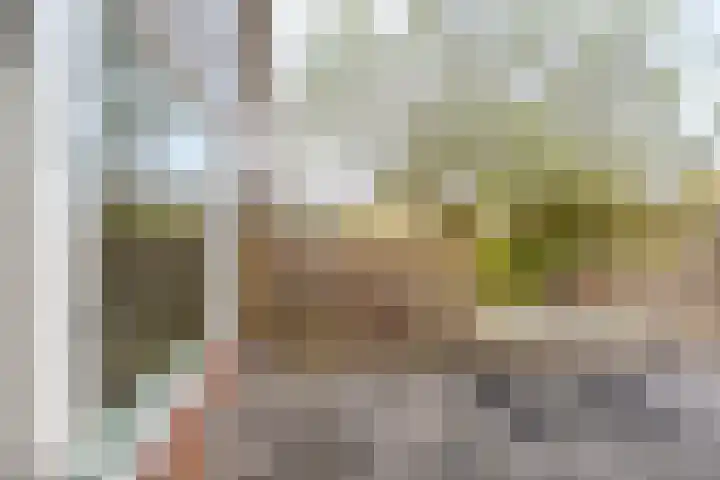 Europasingel 7 Lopik thumbnail 37