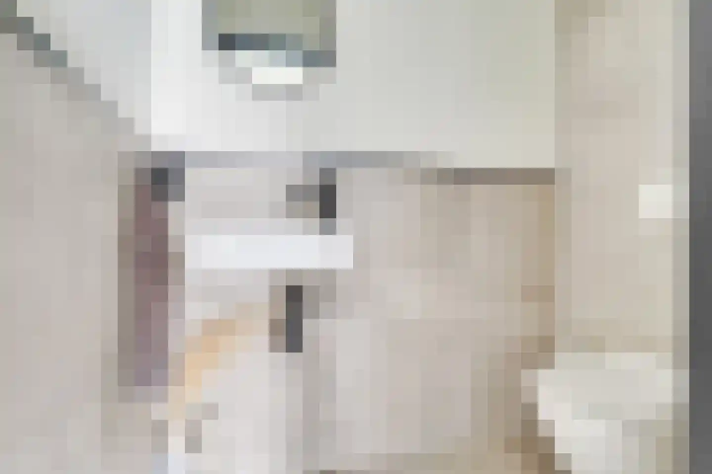 Europasingel 7 Lopik thumbnail 4