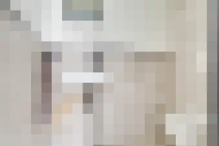 Europasingel 7 Lopik thumbnail 4