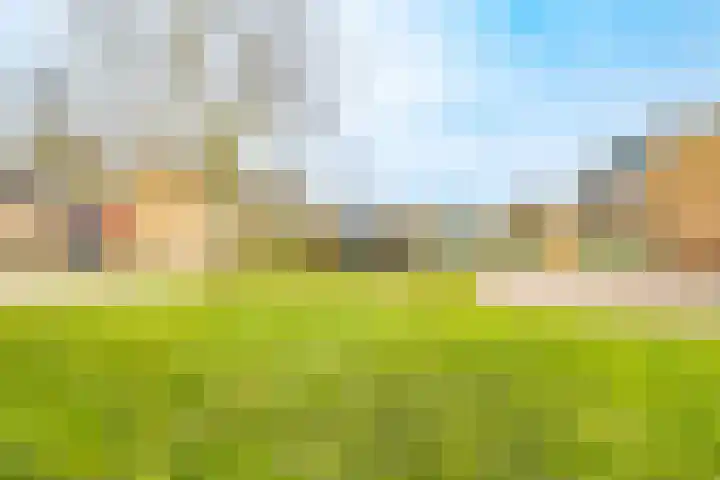 Europasingel 7 Lopik thumbnail 42