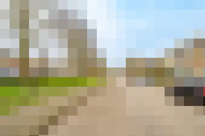 Europasingel 7 Lopik thumbnail 47