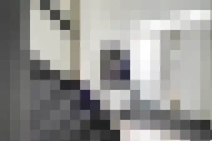 Europasingel 7 Lopik thumbnail 6